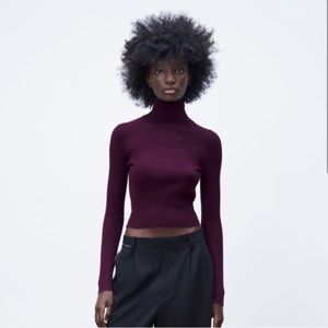 Zara Turtleneck